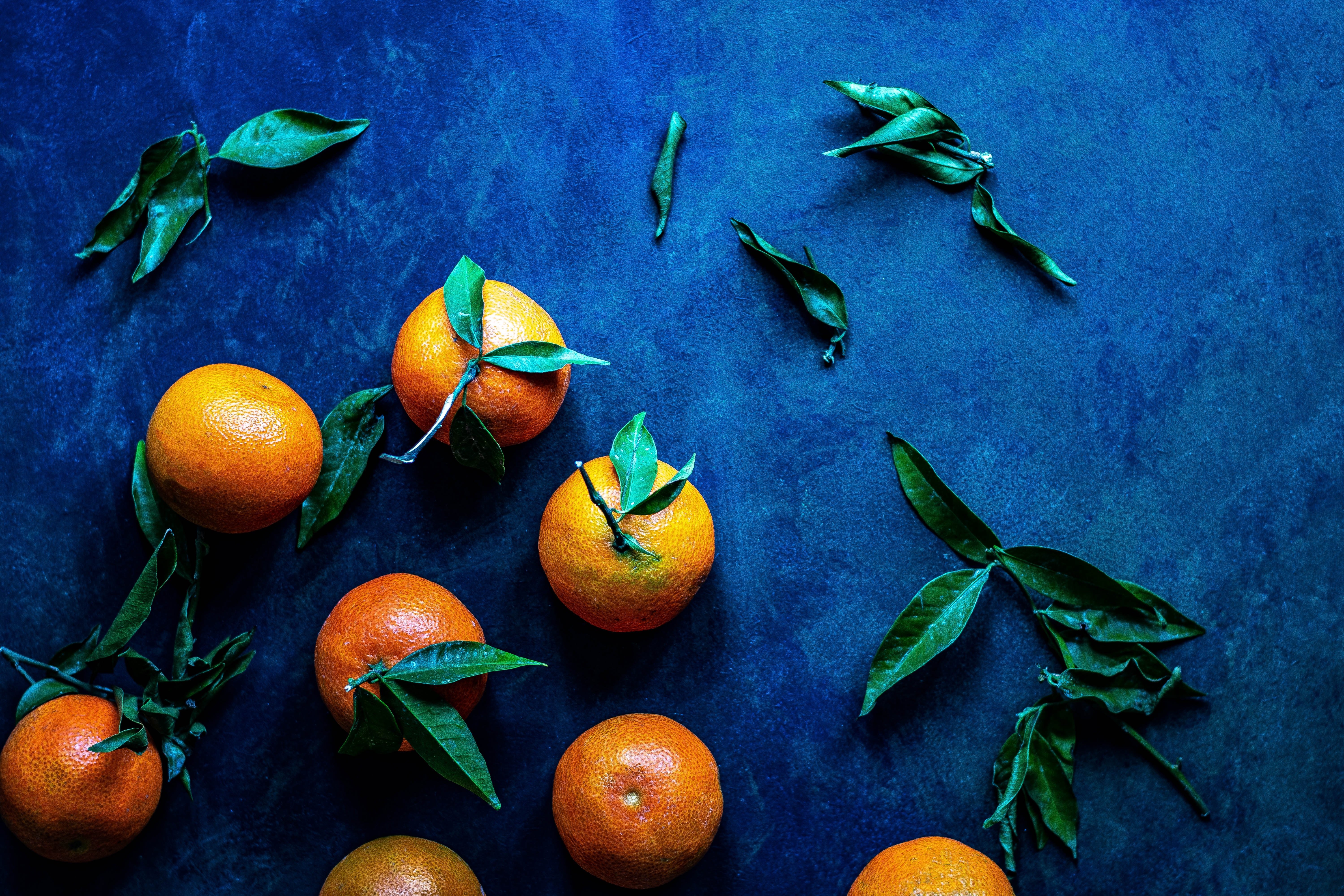 **Photography by Monika Grabkowska 2