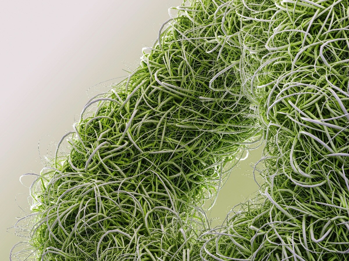 Microalgae by Alex Shuper-1
