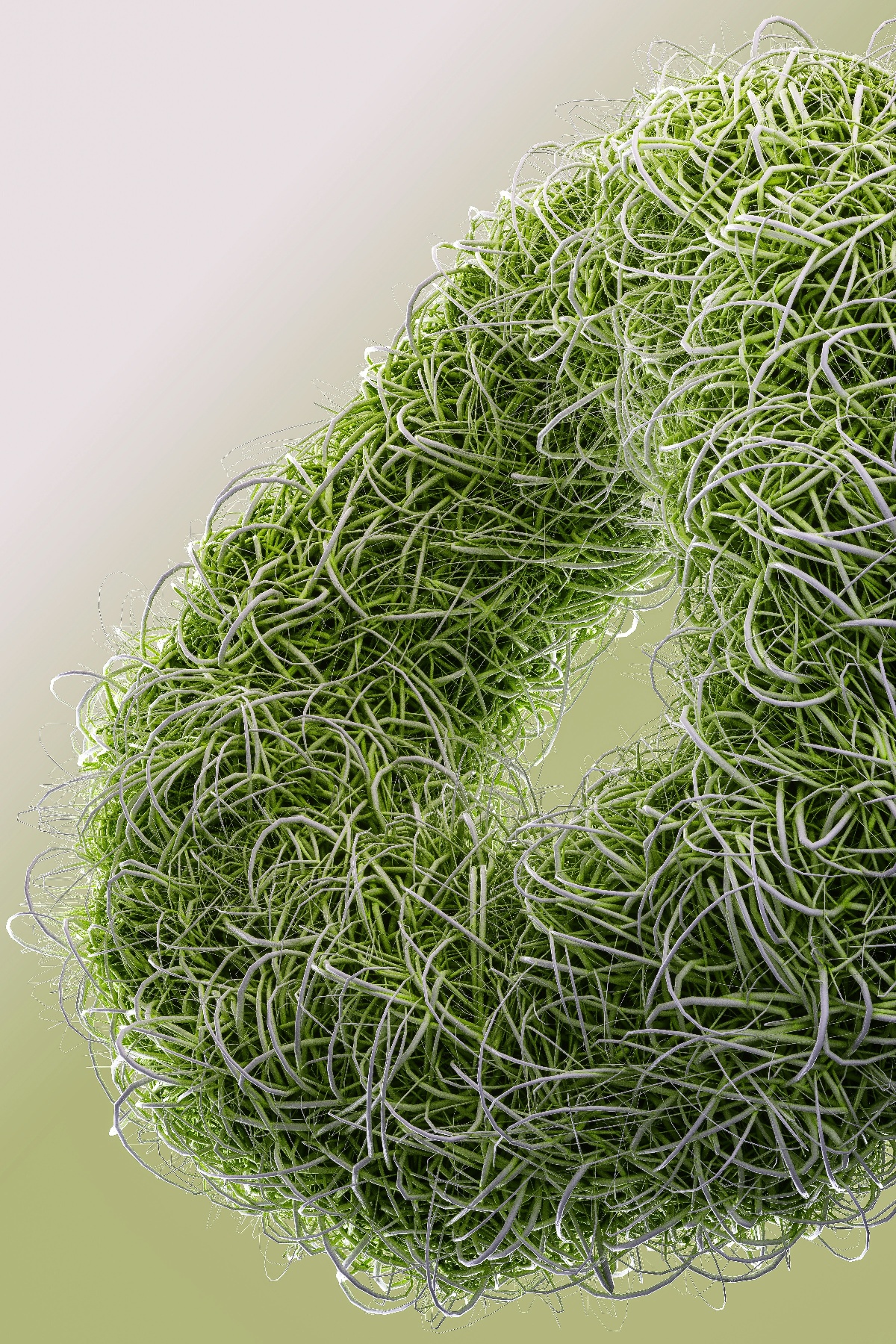 Microalgae by Alex Shuper-1