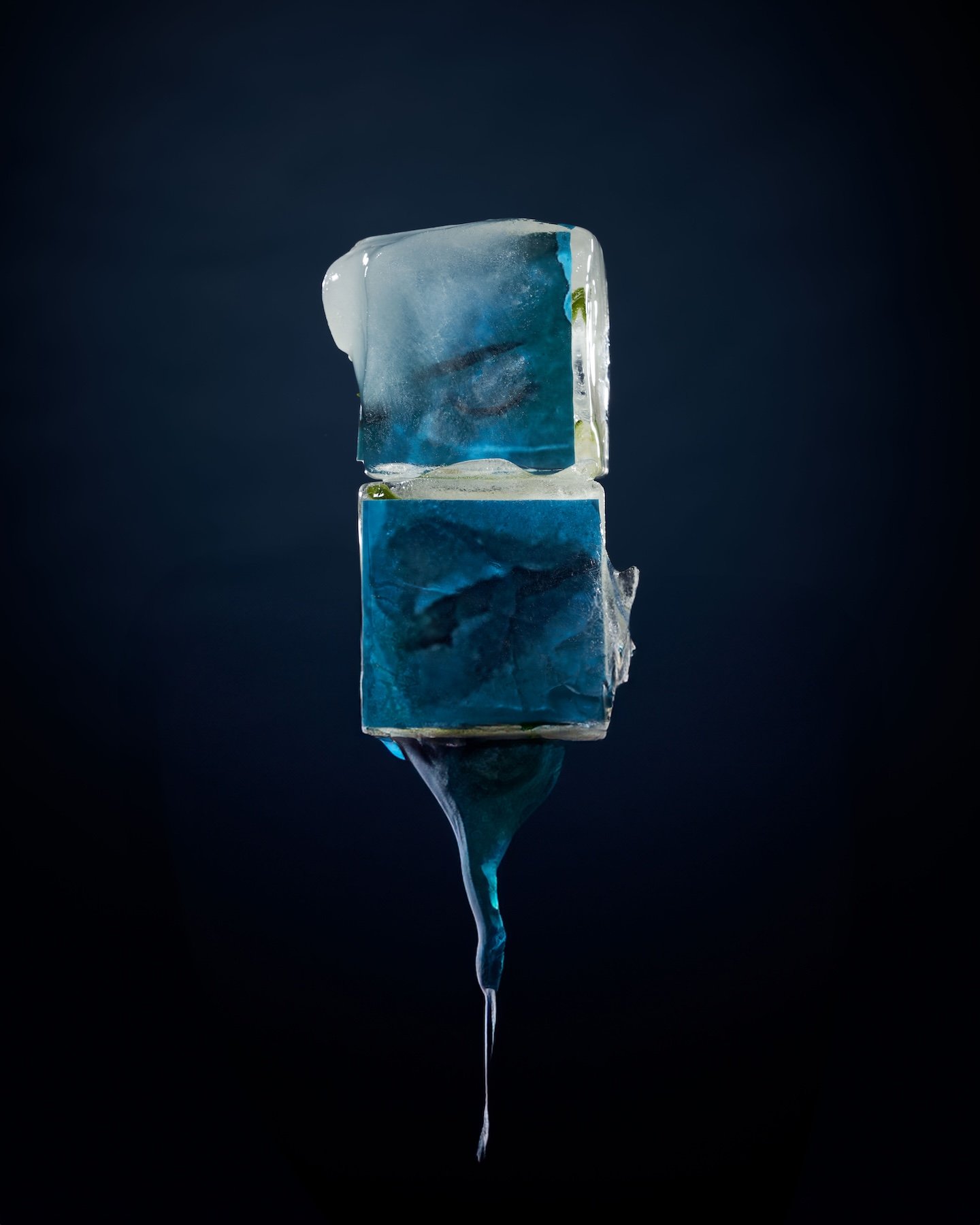 Sassafras by Selahatin