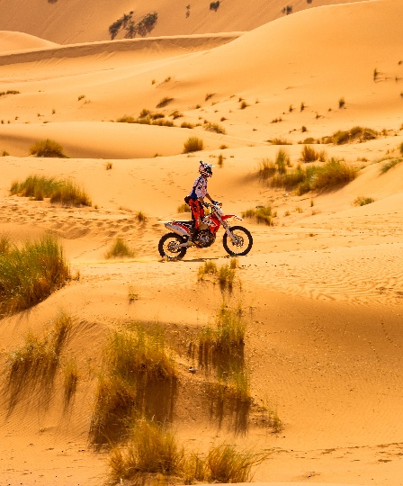 The Extraordinary Adventure Club