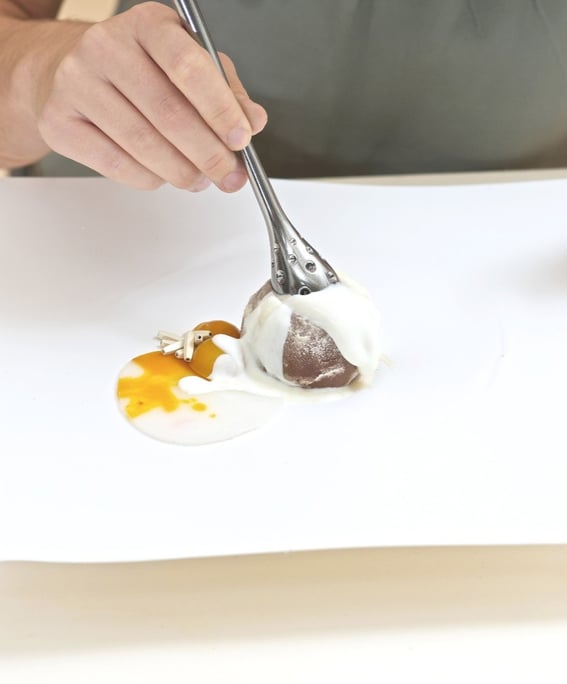 Fungi Mutarium by Livin Studio