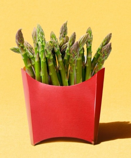 Biocol by Studio Ah-ha