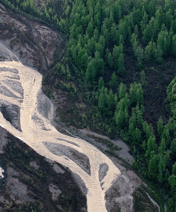 #freethesnake documentary from Patagonia, US