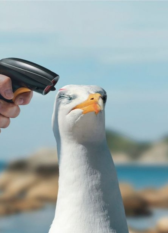 You Buy, The Sea Pays by Young and Rubicam Paris for Surfrider Foundation