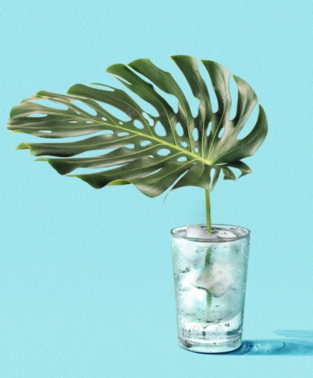 Biocol Labs by Studio AH-HA