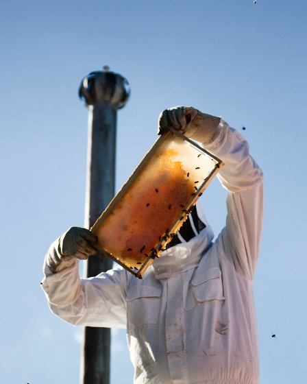 Rooftop Honey, Melbourne- Photography by Lachlan Mathison