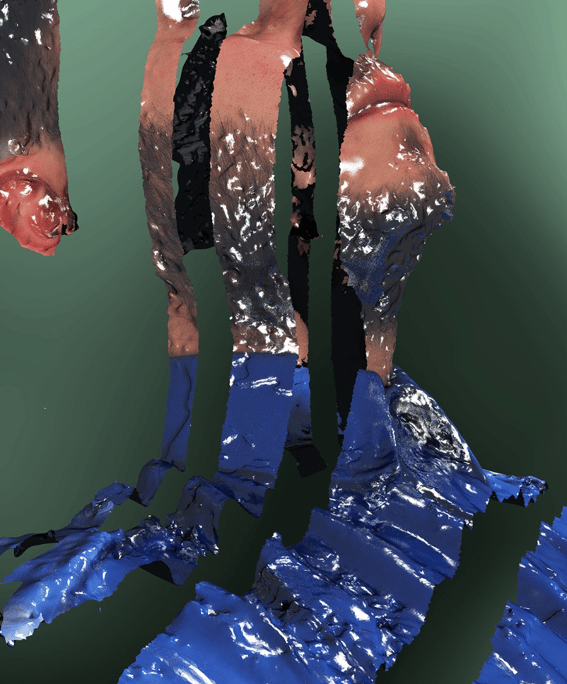 Dutch Invertuals- Visuals by Audrey Large