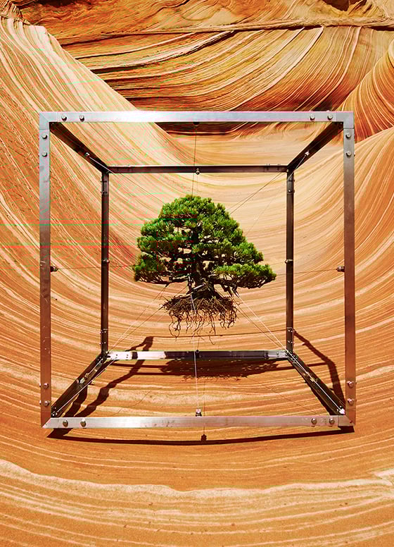 Shiki I x Sanstone I, Azuma Makoto