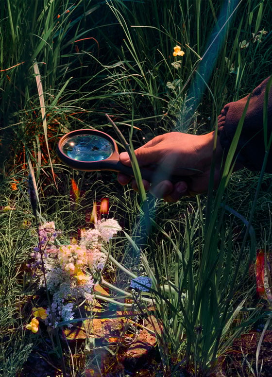 Afterlife by Christopher Edward Rodriguez, US