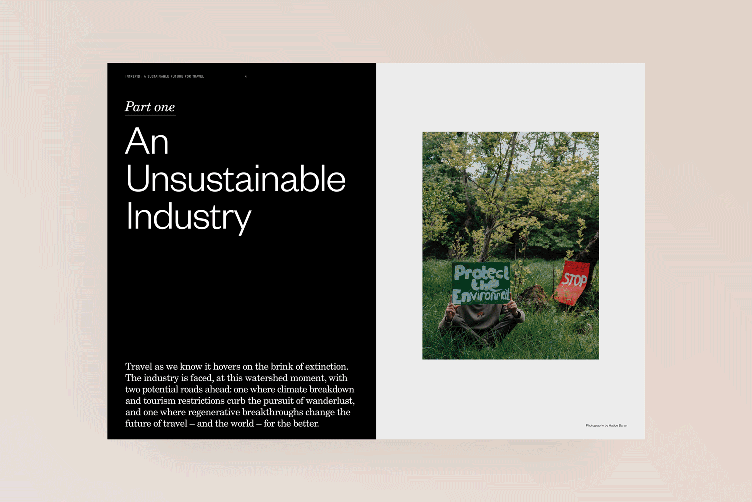 A Sustainable Future for Travel